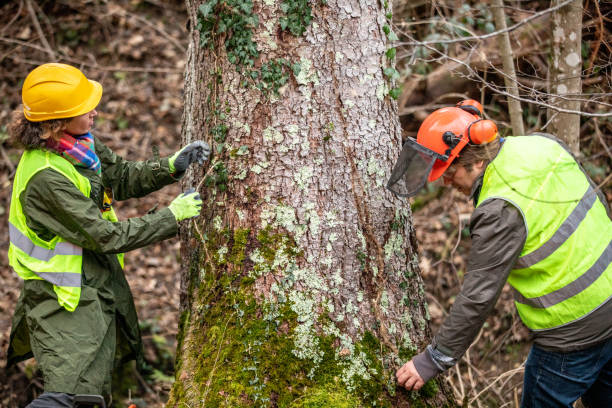 Best Tree and Shrub Care  in Nottingham, PA